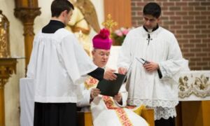 Schneider-2-r78xz1o970ev1g634wjdv3n050xhk58fgv9jnijlbs