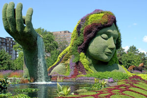 44107473564_c9c846e96f_b