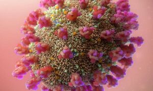 Replication Machine – SARS-CoV-2 3D Visualization