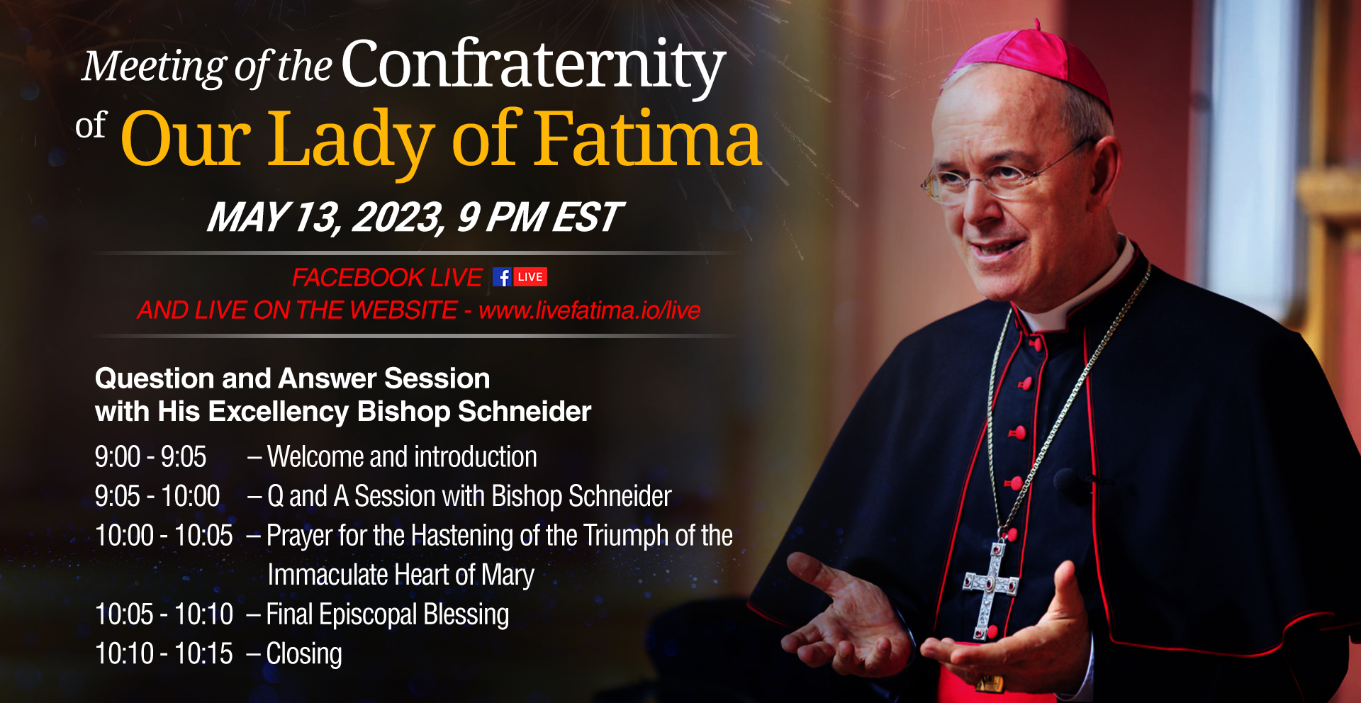 Livestream of Bishop Schneider_MAY