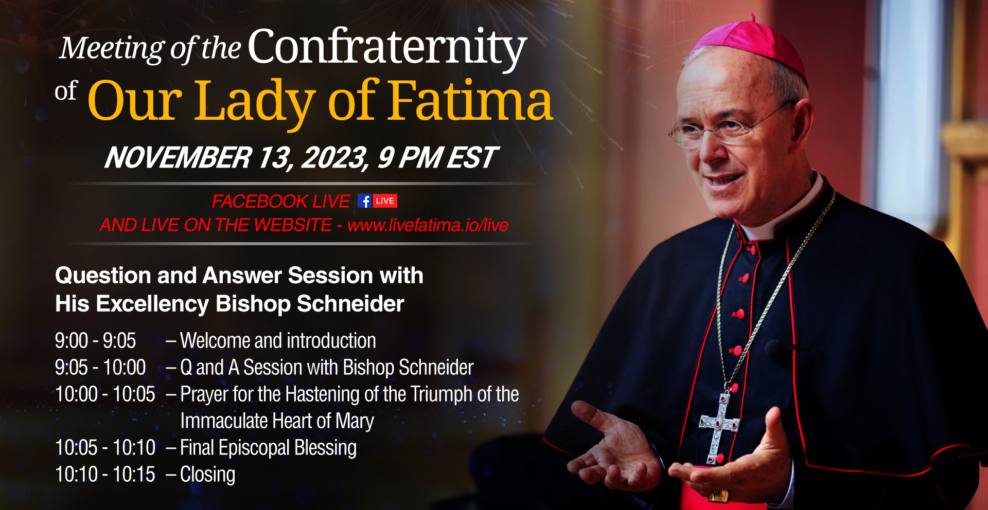 Livestream of Bishop Schneider_NOVEMBER (1)