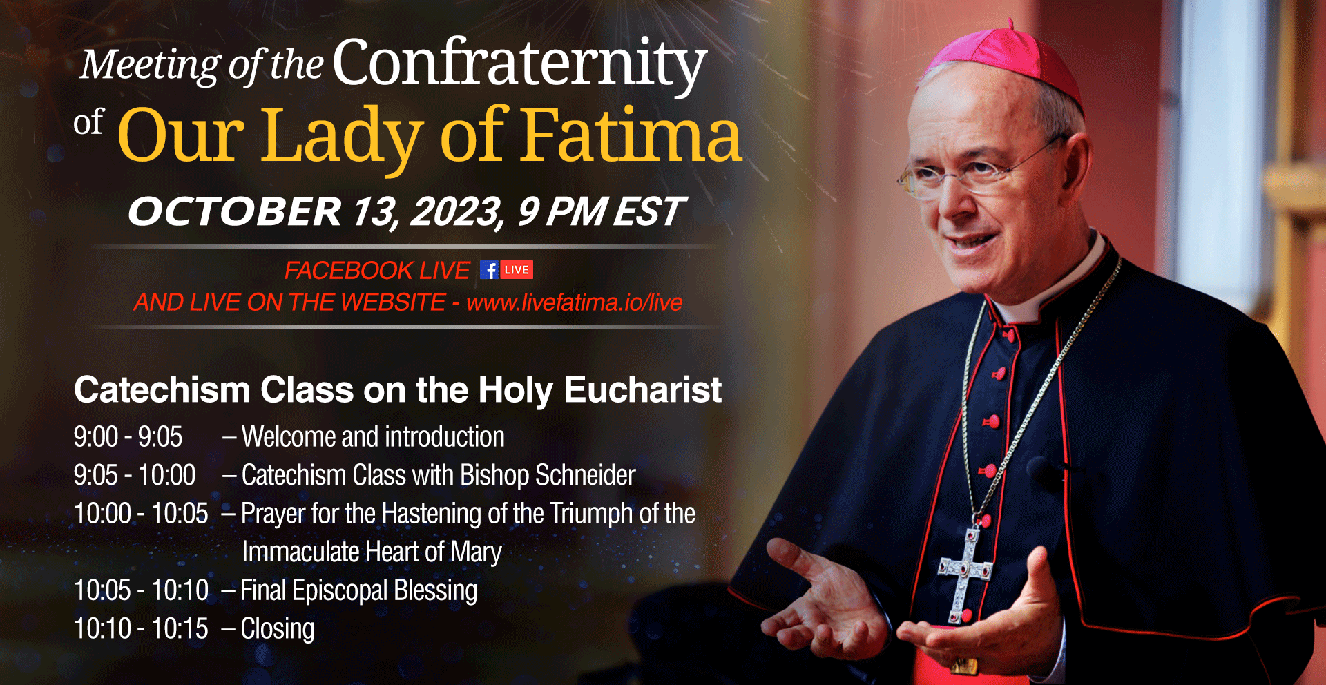Livestream-of-Bishop-Schneider_oct