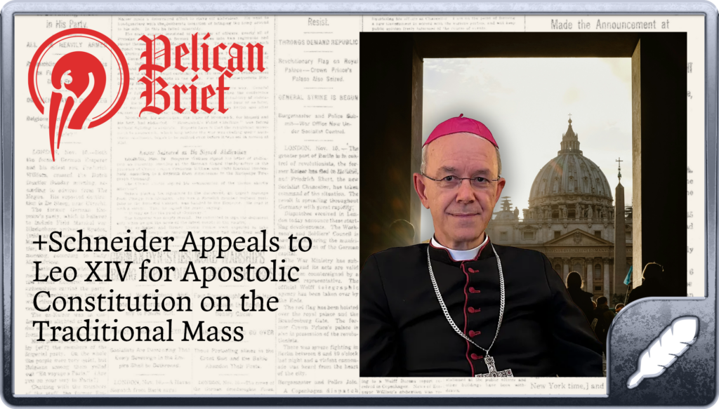 editor-1768403748882-1rdqyn