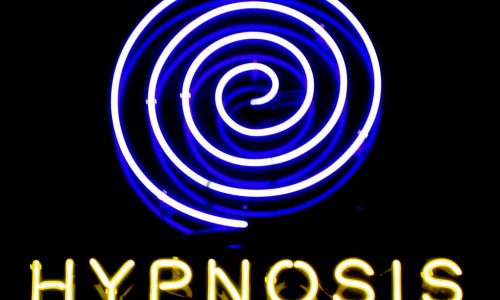 2740069667_51f800f9e5_b