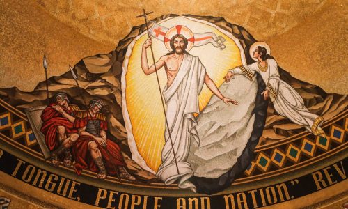 33686124400_9021c86e65_b