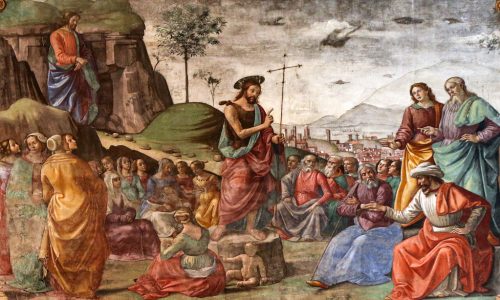 49187146997_645e8b52eb_b