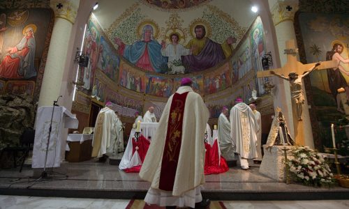 49375586842_e6890ed360_b