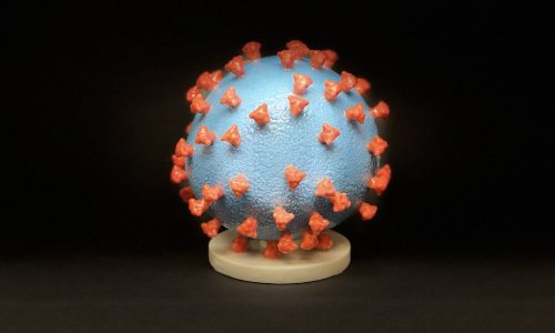 49643893133_6e6bda12dc_b