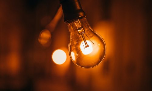 50893959531_c9ac16d2ab_b