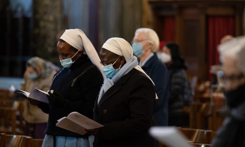 51863878563_0731eef728_b