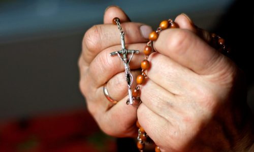 52410971649_db9c2deee2_b