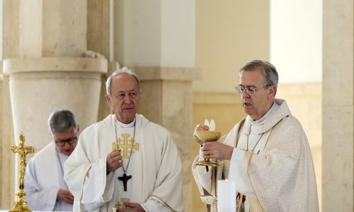 52644238176_070c98fed8_b