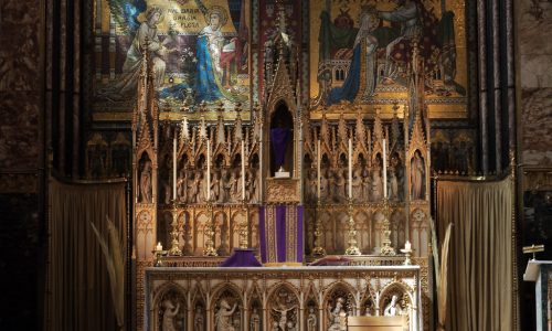 53136860362_647801ffea_b