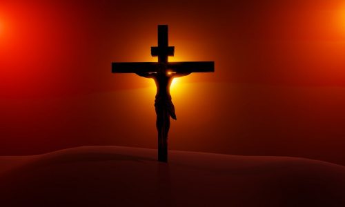 53225813827_2af1df062b_b