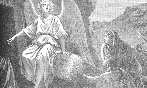 6876655_c9cca6ebf7_b