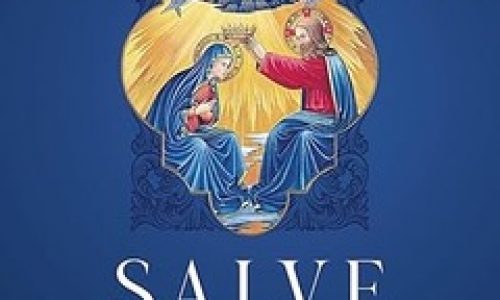 71AfxYYsknL._SY522_ (1)