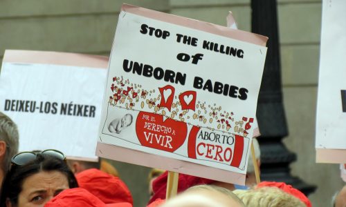 8133579204_468f894473_b