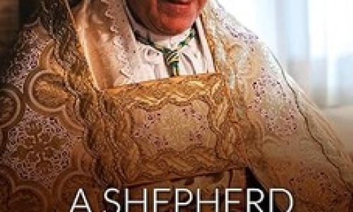 81PbzTH6YvL._SY522_ (1)