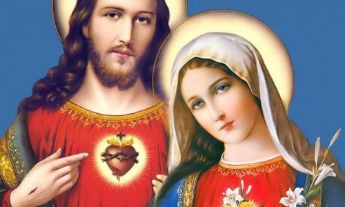 8e231511438b4c2a875e661a0b55d1c3