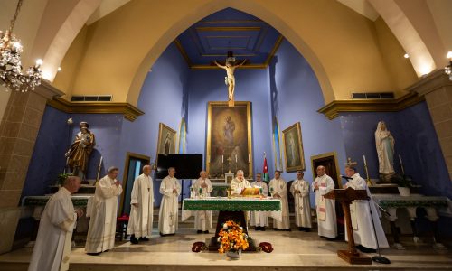 Auxiliary Bishop Athanasius Schneider On The Holy Mass, Part 2 (Half)
