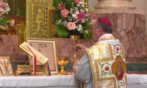 Bishop_Vitus_Huonder_Latin_Mass_5