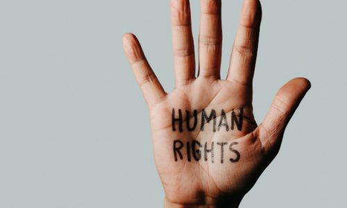 text human rights in the palm, web banner