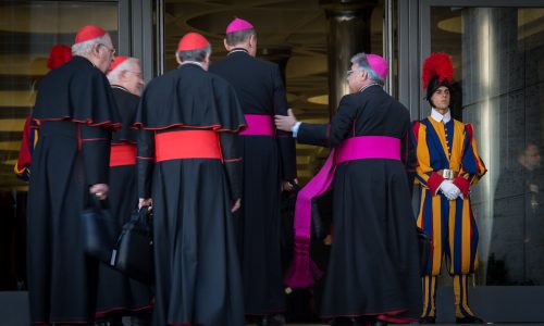 On The Synodal Path (1)