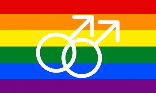 Pride-male