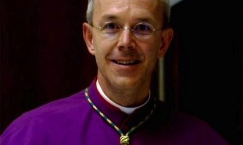 Schneider-520×9999-1