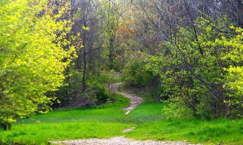 The Springtime That Never Came