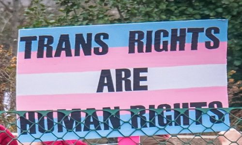 Transgender movement