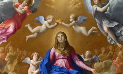 art-1661527524905-9022