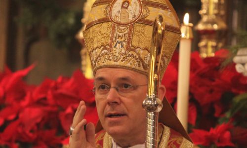 bishop schneider