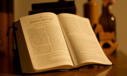 pexels-photo-11696719