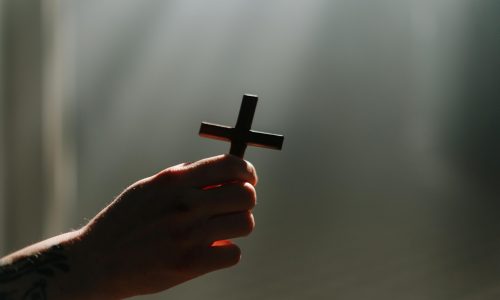 pexels-photo-9588249