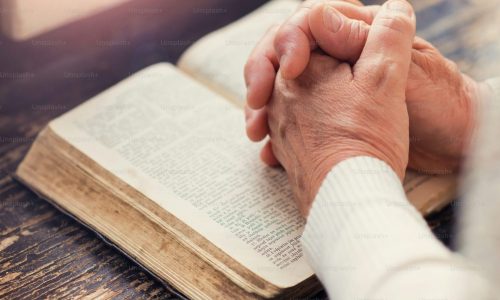 premium_photo-1663127489224-47dfd0639f54