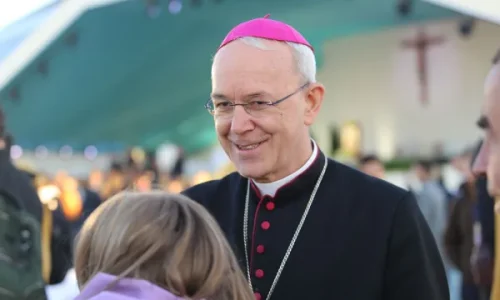 schneider (1)