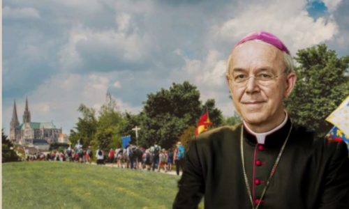 schneider-chartres