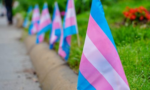 transgender-trans-pride-flags-2048×1462-1